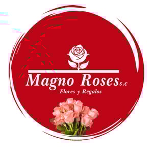 Floristería Magno Roses