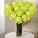15 green roses
