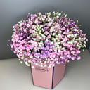 Gypsophila en una caja rosa