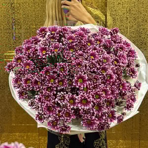 Chrysanthemum bouquet