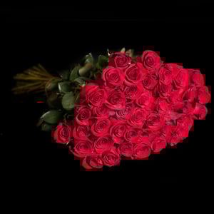 Blumenstrauß 'Strauß aus 25 Premium roten Rosen'