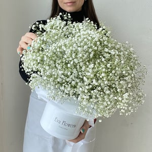 Exuberante gipsófila blanca en una caja