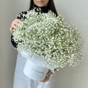 Lush white gypsophila in a box