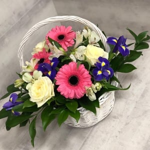 Flower basket 'Furor'