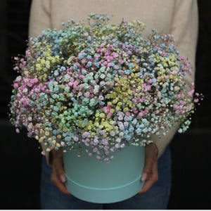 Hat box with flowers 'Gypsophila cloud'