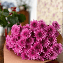 Bouquet 'Vintage'