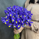 Blumenstrauß '35 irises'