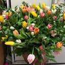 Arrangement 'Chrysta'