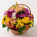 Flower basket 'Colorful Daisy Basket'