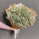 Bouquet of white gypsophila