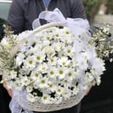 Blumenkorb 'Composition "Summer in a basket"'