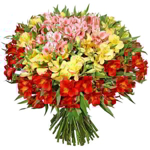 Bouquet 'Alstroemeria'