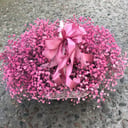 Blumenkorb 'Mona Lisa'