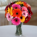Blumenstrauß '20 Gerberas'