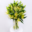 Good as gold: 12 White and Yellow lilies