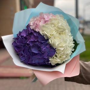 Bouquet '5 hydrangea mix'