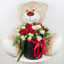 Lovestruck with teddy bear