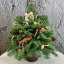 Blumenarrangement 'New Year's Joy'