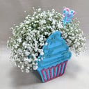 Blumenbox 'Creme brulee'