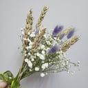 Bouquet of dried flowers