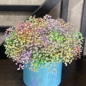 Blumenbox 'Farbiges Schleierkraut in einer Hutschachtel'