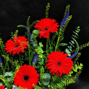 Flower box 'Red Gerebra Tray Arrangement'