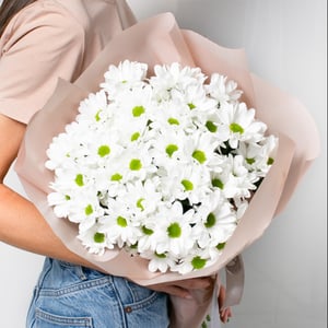 Bouquet 'Chamomile field 9 pcs.'