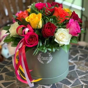 Blumenbox 'Eine Explosion der Emotionen'