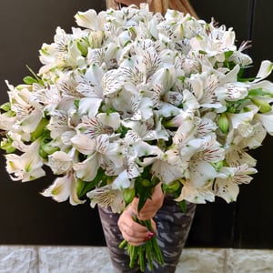 Bouquet 'Snowfall in June'