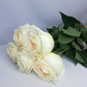 Blumenstrauß '5 Pfingstrosen 70cm'