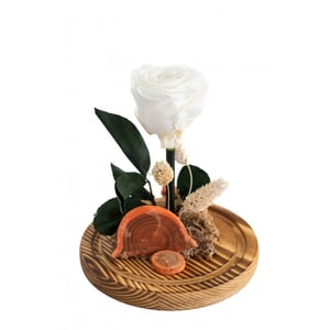 Forever Rose White M