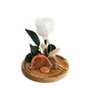 Forever Rose White M