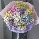 Ramo 'Nube de color'