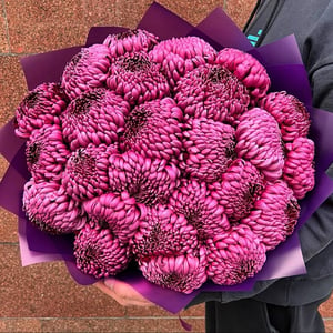 Blumenstrauß 'Chrysantheme Bigudi in Weinrot, 25 Stiele'