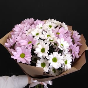 Blumenstrauß 'Monostrauß aus Chrysanthemen'