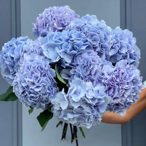 Blumenstrauß 'Wolke der Liebe'