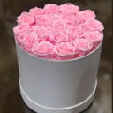 Box with preserved pink roses