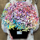 Blumenbox 'Rainbow Gypsophila Composition'