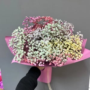 Bouquet of nine multicolored gypsophila