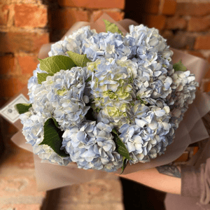 Bouquet 'Abbeville'