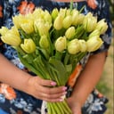 Blumenstrauß 'Lemon pie'