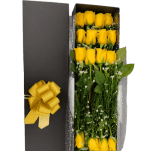 Caja de rosas x 24