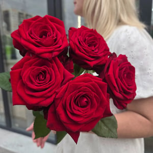 Bouquet of 5 red roses