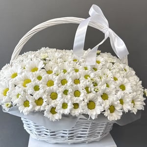 Blumenkorb 'Kamillenwolke'