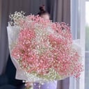 Bouquet of tender gypsophila