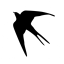 Flower workshop "Lastochka"