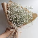 Ramo 'Snow-white gypsophila in craft'
