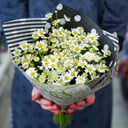 Bouquet 'Summer breath'