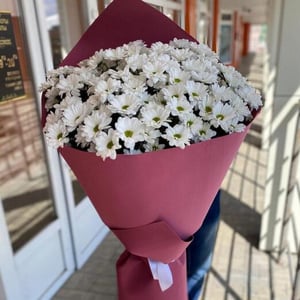 Blumenstrauß 'Riesenstrauß aus Chrysanthemen'