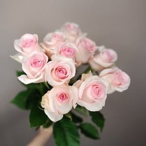 Ramo '11 Rosas Rosadas'